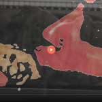 You are a pig and I own you now vore style