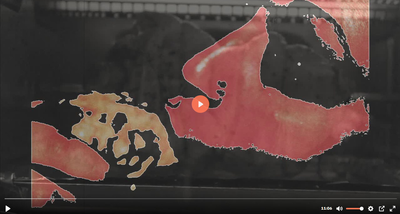 You are a pig and I own you now vore style